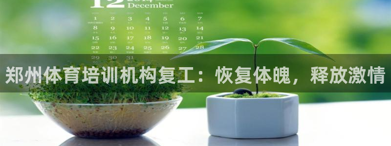 富联申购可以赚多少钱：郑州体育培训机构复工：恢复体魄