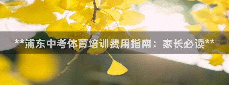 富联是什么：**浦东中考体育培训费用指南：家长必读*