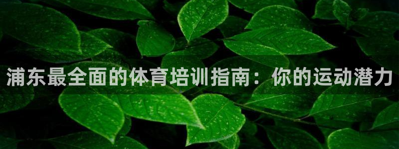 富联娱乐靠 58534I 富联：浦东最全面的体育培训