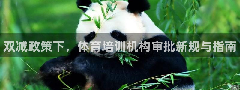 富联平台选 585341 平台：双减政策下，体育培训