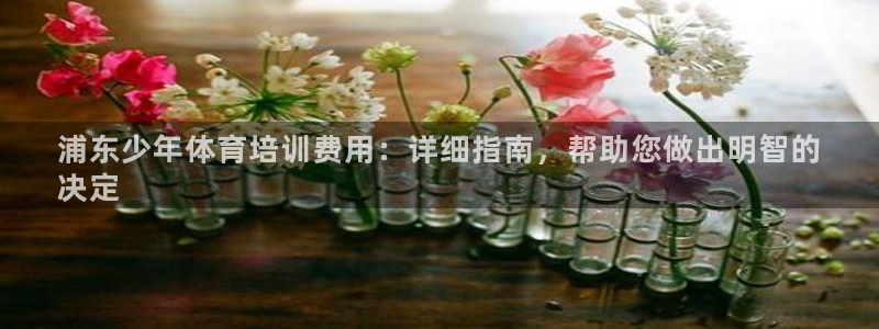 富联娱乐会员多少钱：浦东少年体育培训费用：详细指南，