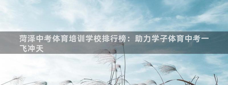 富联娱乐在线注册链接：菏泽中考体育培训学校排行榜：助
