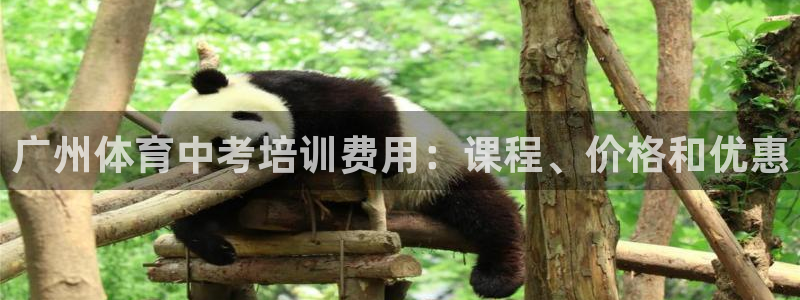 富联申购上市价格预测最新：广州体育中考培训费用：课程