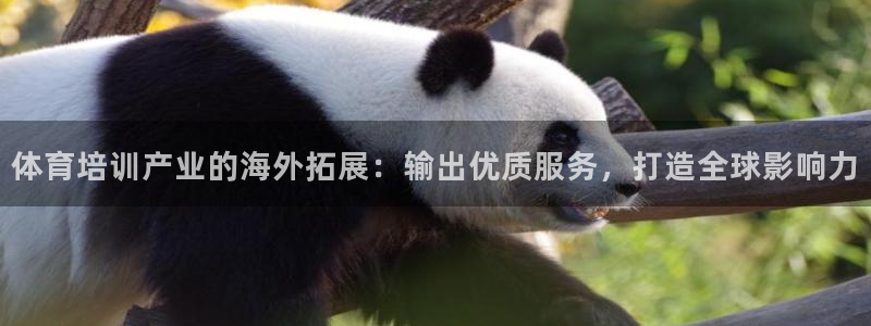 富联平台登录注册：体育培训产业的海外拓展：输出优质服