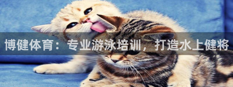 富联娱乐平台是什么：博健体育：专业游泳培训，打造水上