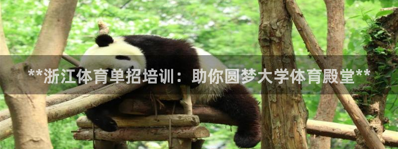 富联娱乐官方网站入口下载：**浙江体育单招培训：助你