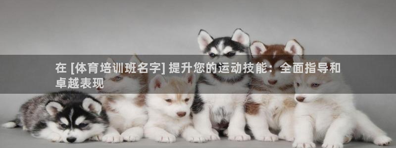 杭州富联科技：在 [体育培训班名字] 提升您的运动技