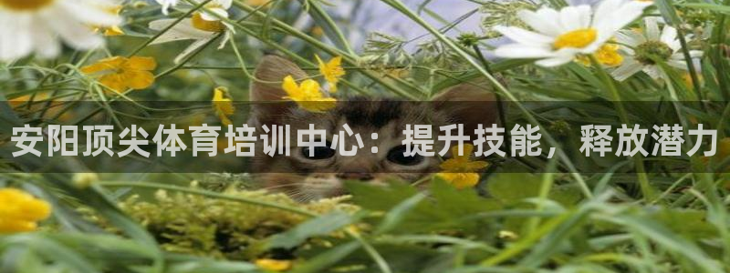 富联平台代理注册：安阳顶尖体育培训中心：提升技能，释