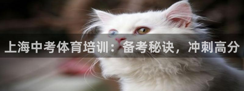 富联官方网站入口网址是多少：上海中考体育培训：备考秘