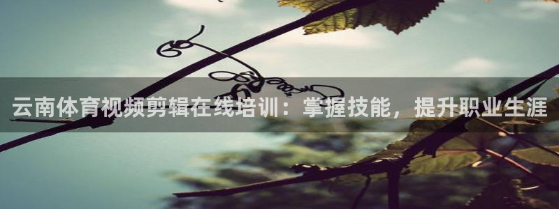 富联平台登录：云南体育视频剪辑在线培训：掌握技能，提