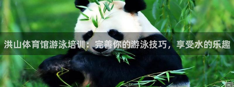 富联平台案7O777：洪山体育馆游泳培训：完善你的游