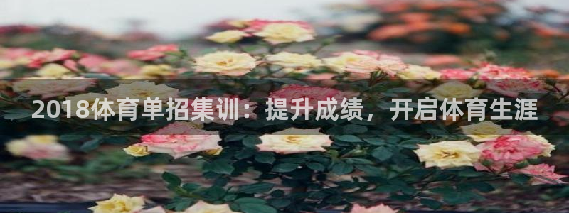富联是什么意思网络用语：2018体育单招集训：提升成绩，开启