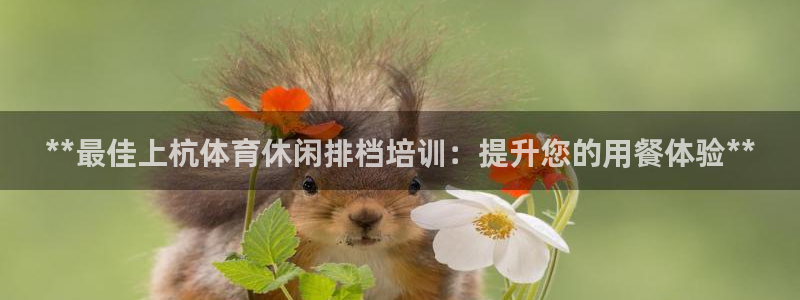 富联娱乐革7O777：**最佳上杭体育休闲排档培训：