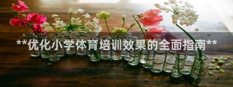 富联娱乐登录注册入口官网下载：**优化小学体育培训效