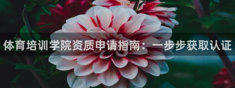 富联娱乐测速地址在哪：体育培训学院资质申请指南：一步