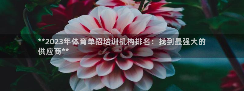 富联申购上市价格预测：**2023年体育单招培训机构