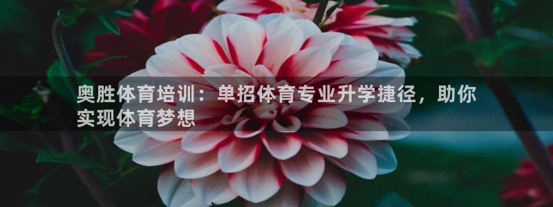 富联平台官网登录：奥胜体育培训：单招体育专业升学捷径