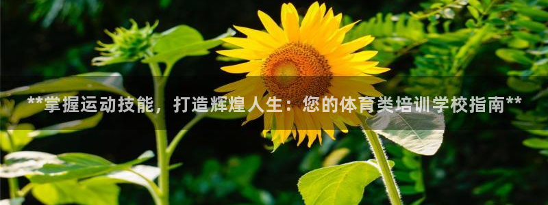 富联地产怎么样：**掌握运动技能，打造辉煌人生：您的