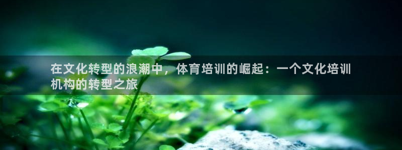 富联平台推 5O6917 富联：在文化转型的浪潮中，