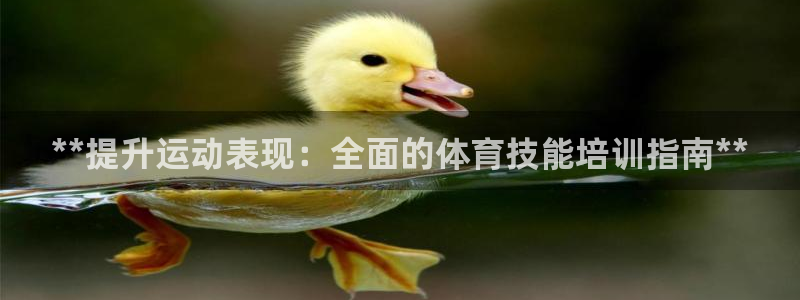 富联官方网站下载app：**提升运动表现：全面的体育