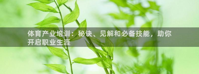 富联化工：体育产业培训：秘诀、见解和必备技能，助你
