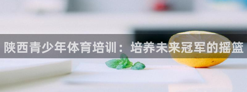 富联官方网站下载安装最新版：陕西青少年体育培训：培养