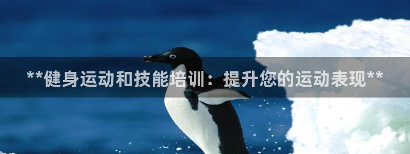 富联平台官网：**健身运动和技能培训：提升您的运动表