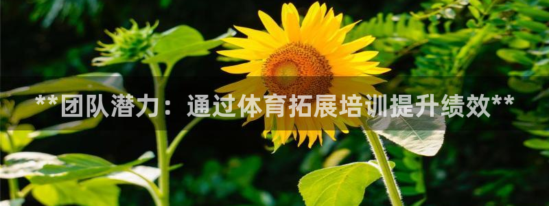 富联娱乐官方网站：**团队潜力：通过体育拓展培训提升