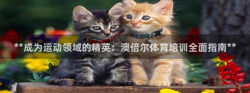 富联娱乐价7O777：**成为运动领域的精英：澳倍尔