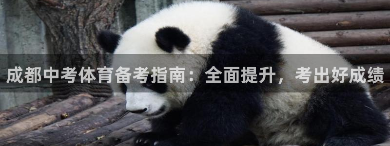 富联娱乐在线注册链接怎么弄的：成都中考体育备考指南：