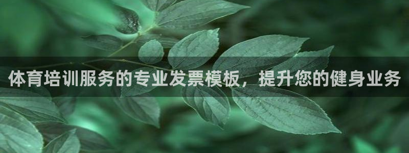 富联官网代理系列产品：体育培训服务的专业发票模板，提