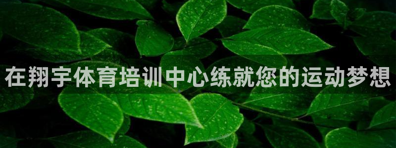 富联是什么：在翔宇体育培训中心练就您的运动梦想
