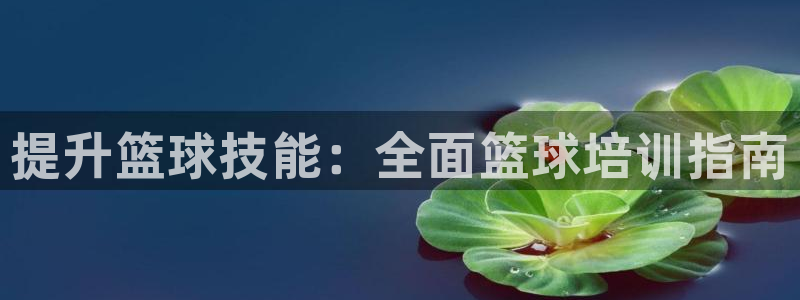富联平台目 411O31 富联：提升篮球技能：全面篮