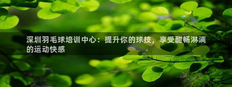 富联平台城7O777：深圳羽毛球培训中心：提升你的球