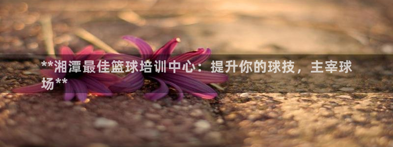富联娱乐测速怎么样：**湘潭最佳篮球培训中心：提升你