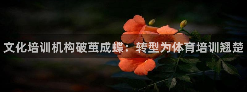 富联娱乐靠 58534I 富联：文化培训机构破茧成蝶