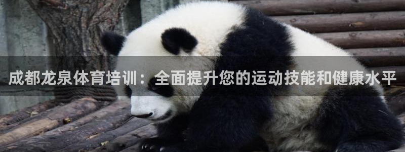 富联平台代理注册流程：成都龙泉体育培训：全面提升您的