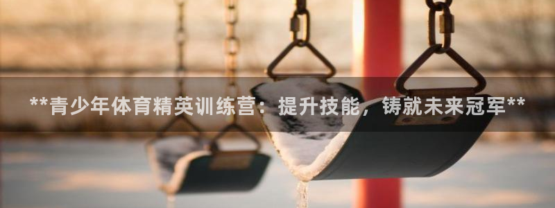 富联平台案7O777：**青少年体育精英训练营：提升