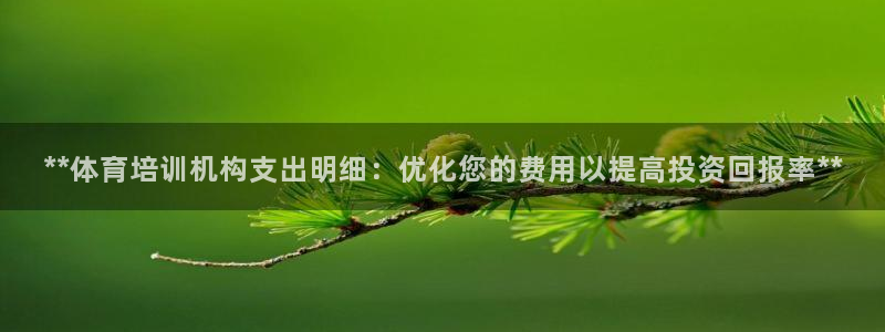 富联平台代理注册：**体育培训机构支出明细：优化您的