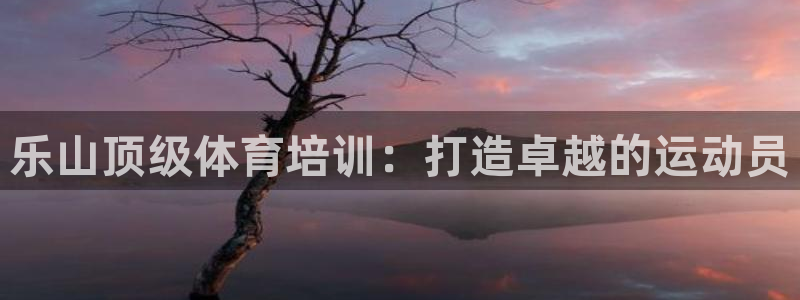 富联娱乐下载：乐山顶级体育培训：打造卓越的运动员