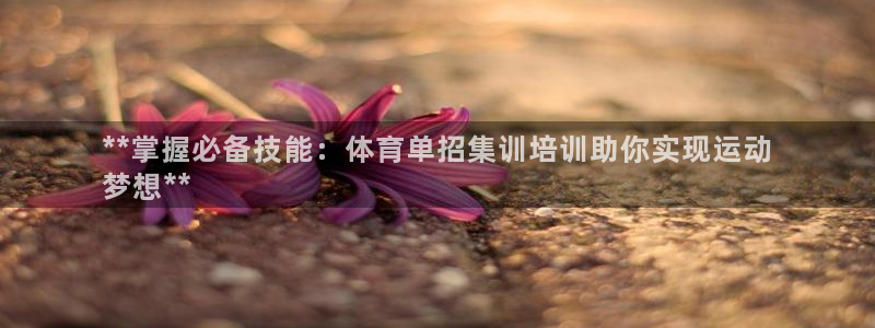 富联官网注册不了账号吗：**掌握必备技能：体育单招集