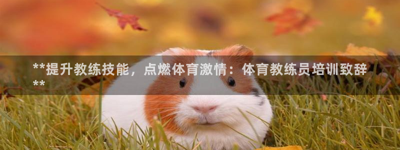 富联娱乐老板是哪里人：**提升教练技能，点燃体育激情