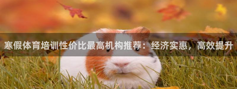 富联平台容7O777：寒假体育培训性价比最高机构推荐