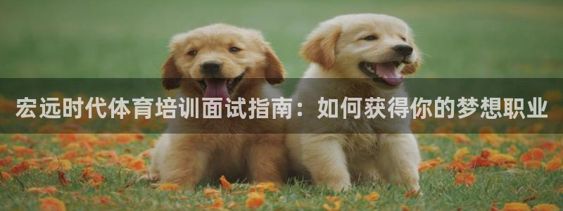 富联平台登录注册：宏远时代体育培训面试指南：如何获得