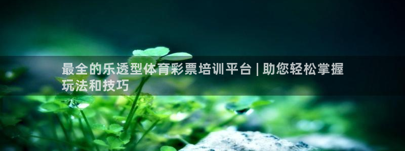 富联娱乐服务站地址：最全的乐透型体育彩票培训平台 | 助您轻