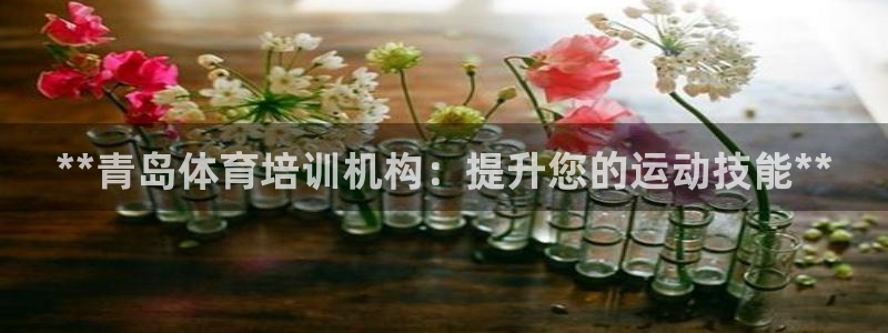 富联娱乐官方网站入口网址：**青岛体育培训机构：提升