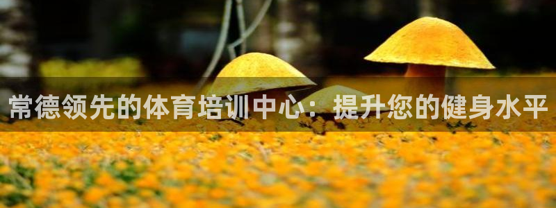 富联娱乐护7O777：常德领先的体育培训中心：提升您