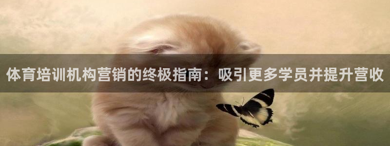 富联平台事 411O31 富联：体育培训机构营销的终