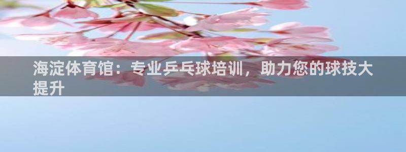 富联平台安装流程：海淀体育馆：专业乒乓球培训，助力您的球技大