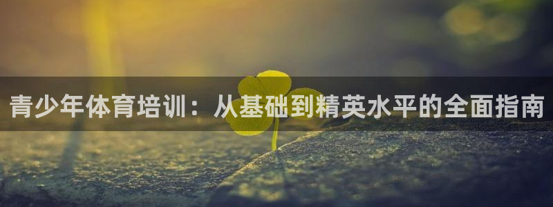 富联智能工坊：青少年体育培训：从基础到精英水平的全面